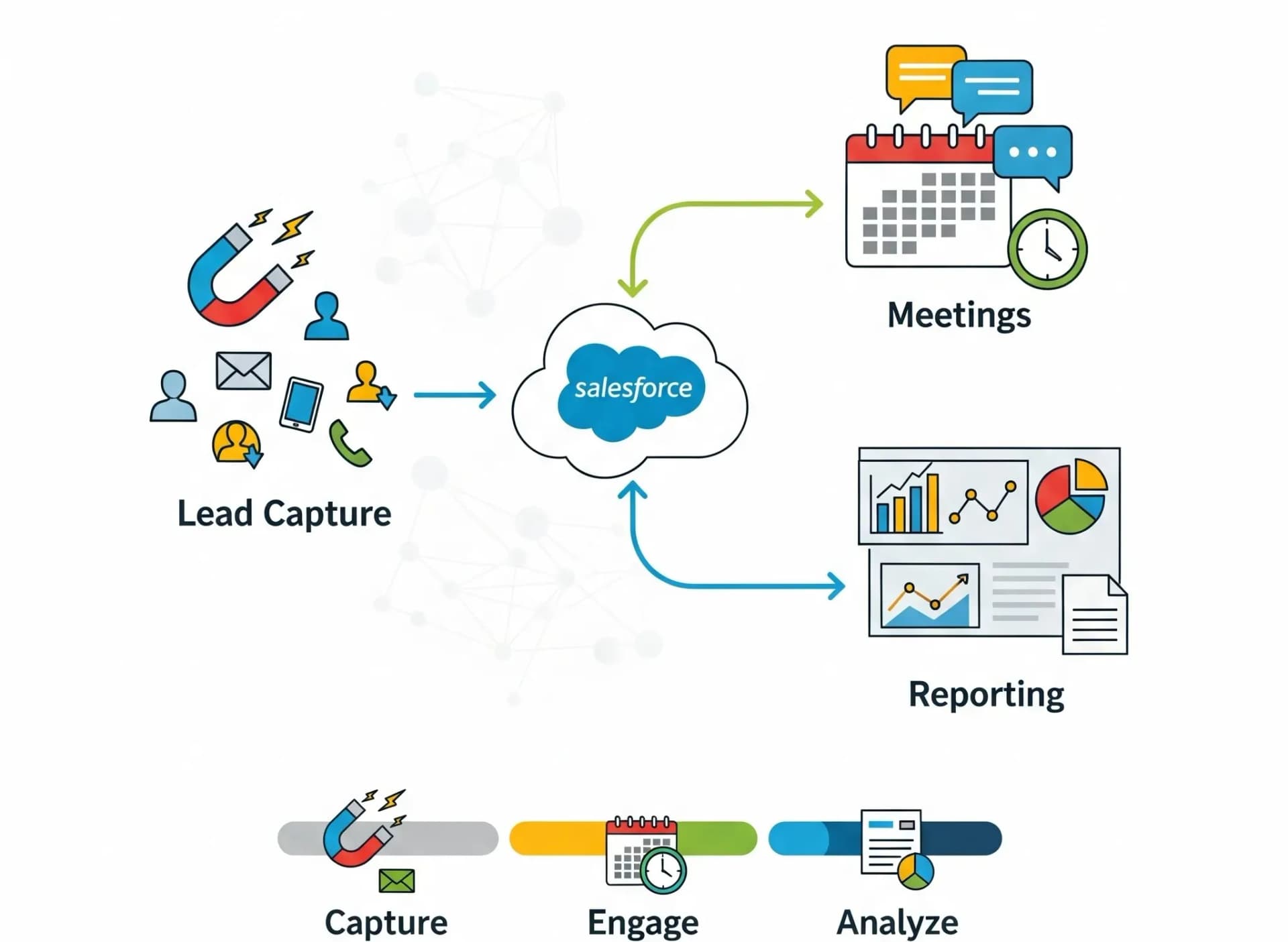 Salesforce Case Study: Lead Capture & Reporting: Salesforce Automation
