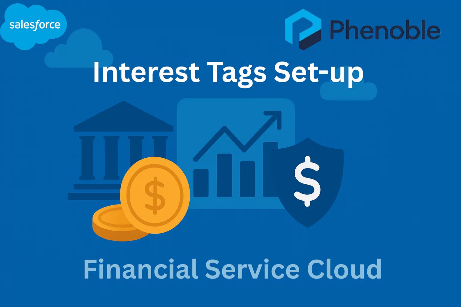 Financial Service Cloud-24 Interest Tags Set-up