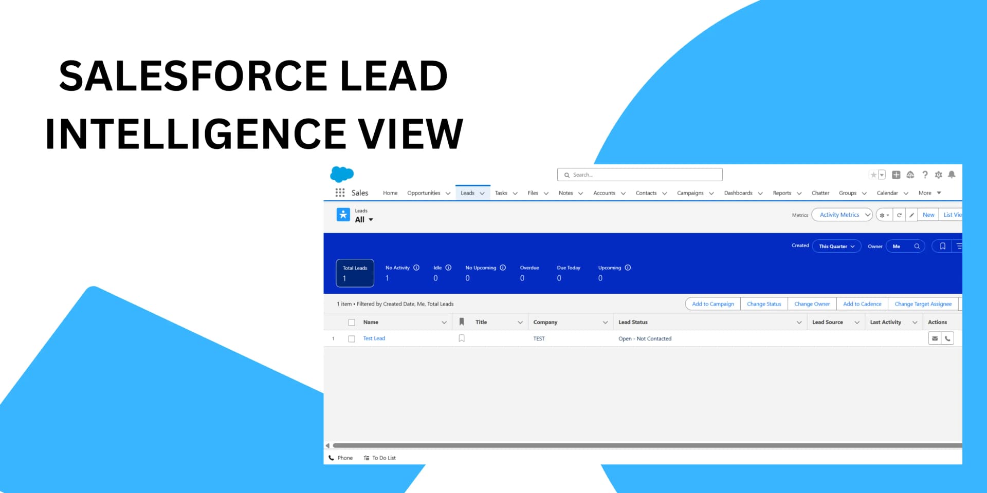 Salesforce Lead Intelligence View: Focus Your Sales Efforts Smarter